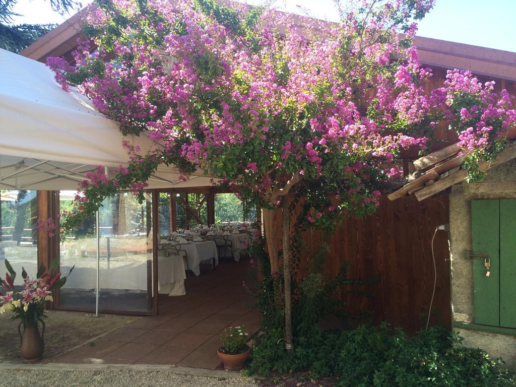 Agriturismo Ristorante Albachiara Villa Carpeneto Exterior photo